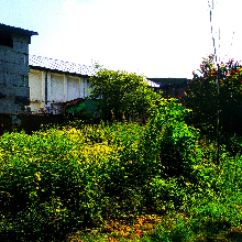 Пользователь Boolka