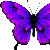 ButterflyWorld user