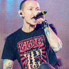 Пользователь Chester