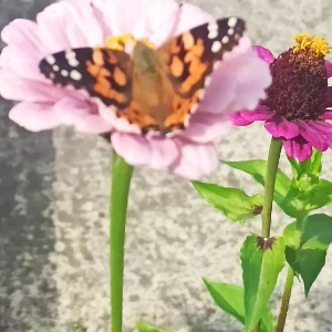 Користувач Ksi289