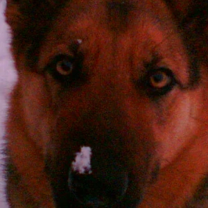 Користувач Motiy