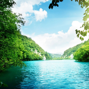 SamuelCardmates user