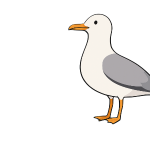 Користувач Sergey_1m