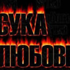 Пользователь Titishka13