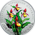 Користувач cypripedium