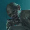 Пользователь gasilinyura