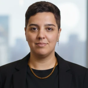Usuário ilanzan