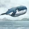 Пользователь k1t