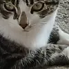 krisMyAce