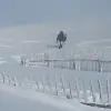 moi_aussi user