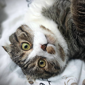 Користувач terri33