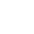 Dragon Money