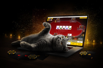 PokerMatch проведет Lockdown Series с гарантией 12 000 000₴