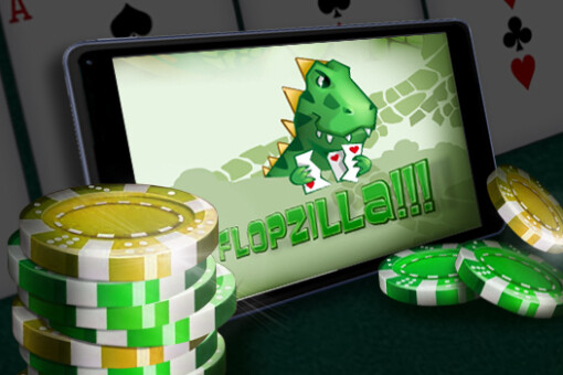 Flopzilla: возможности покерного софта