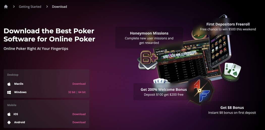 Natural8 download process