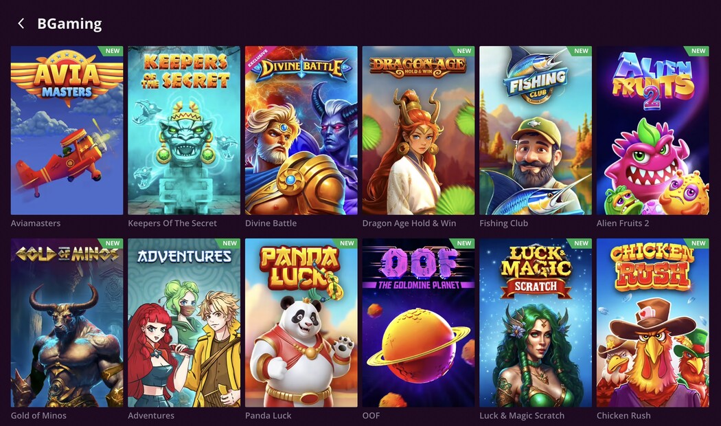 Casino software provider