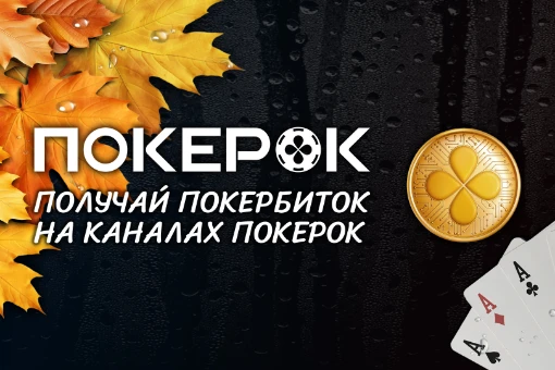 Что из себя представляет система PokerBitOK и как она работает?