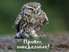 Покерная жизнь gl_*serg*_gl изнутри. Отчет 15.07.2019