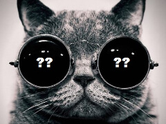 Кот в мешке или Великий покер и "не"Великий игрок?