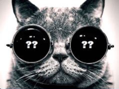 Кот в мешке или Великий покер и "не"Великий игрок? (v1.1)