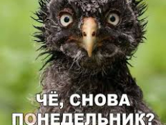 Покерная жизнь gl_*serg*_gl изнутри. Отчет 28.07.2019