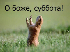 Покерная жизнь gl_*serg*_gl изнутри. Отчет 3.08.2019