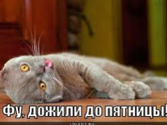 Покерная жизнь gl_*serg*_gl изнутри. Отчет 9.08.2019
