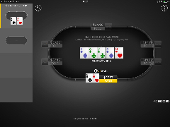 A book review - Zen and the Art of Poker
