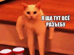 Надежда умирает на ривере #48 (любимое число, кстати)