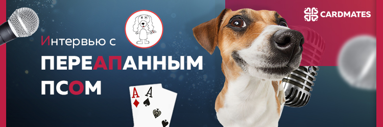 Эксклюзивное интервью с Переапанным псом