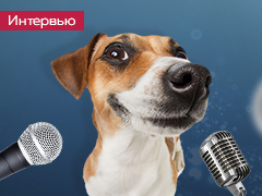 Эксклюзивное интервью с Переапанным псом