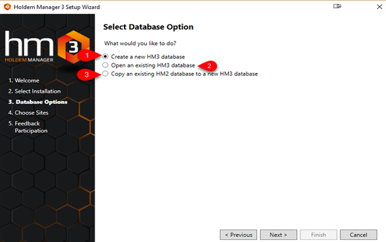 Установка и настройка Holdem Manager 3 Опция выбора базы данных