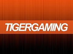Tiger Gaming конфисковал у белоруса весь банкролл