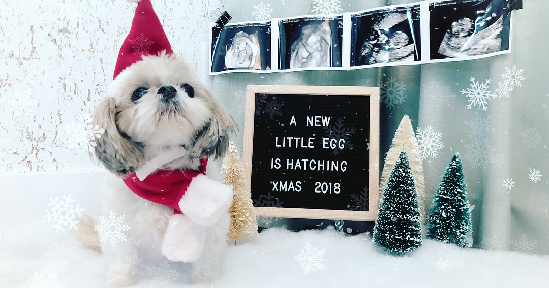 Первый ребёнок Фила Гальфонда - известного хайроллера Первенец Гальфонда