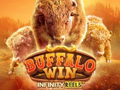 Buffalo Win demo grátis