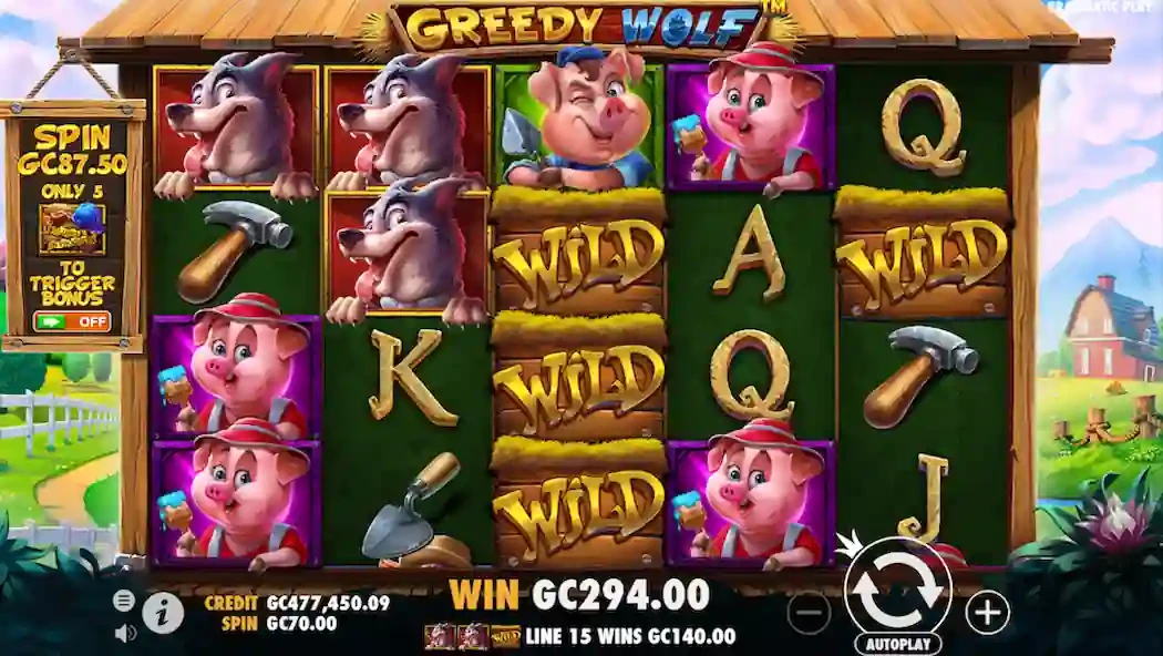 O que é símbolo wild