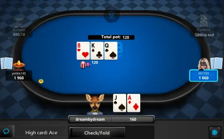 Texas Hold'em Poker