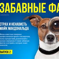 Забавные факты из жизни звёзд покера: Страх и ненависть Майка МакДональда