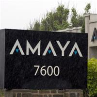 Amaya будет требовать деньги у Шейнберга
