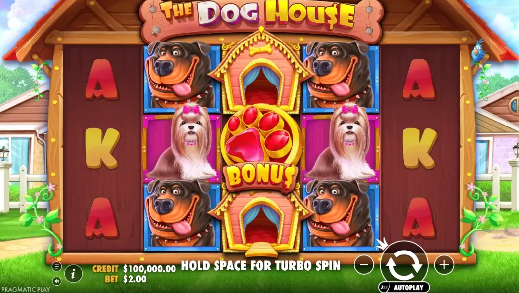 The Dog House