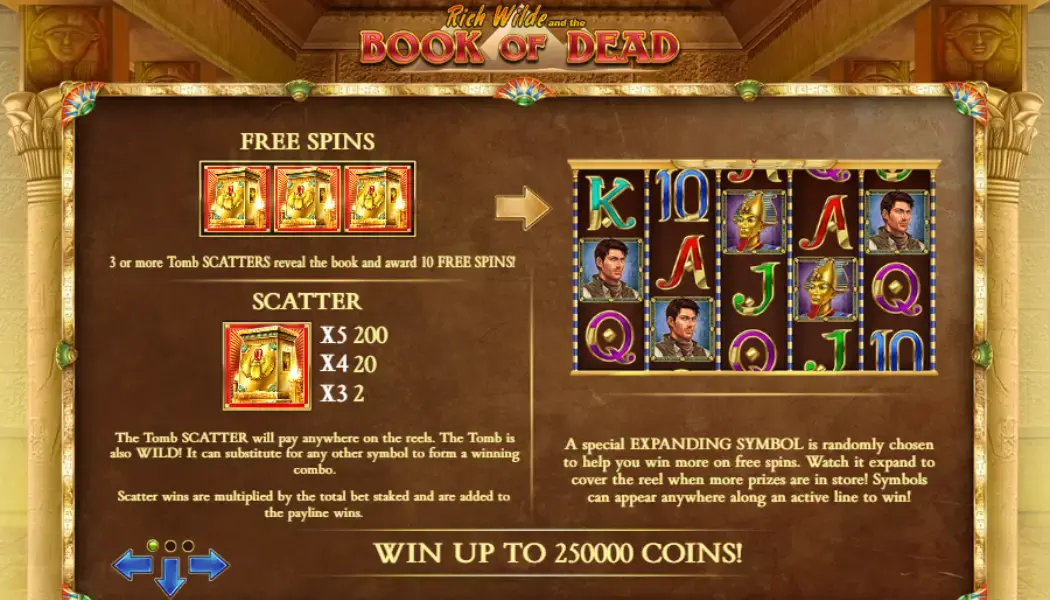 Book of the Dead правила